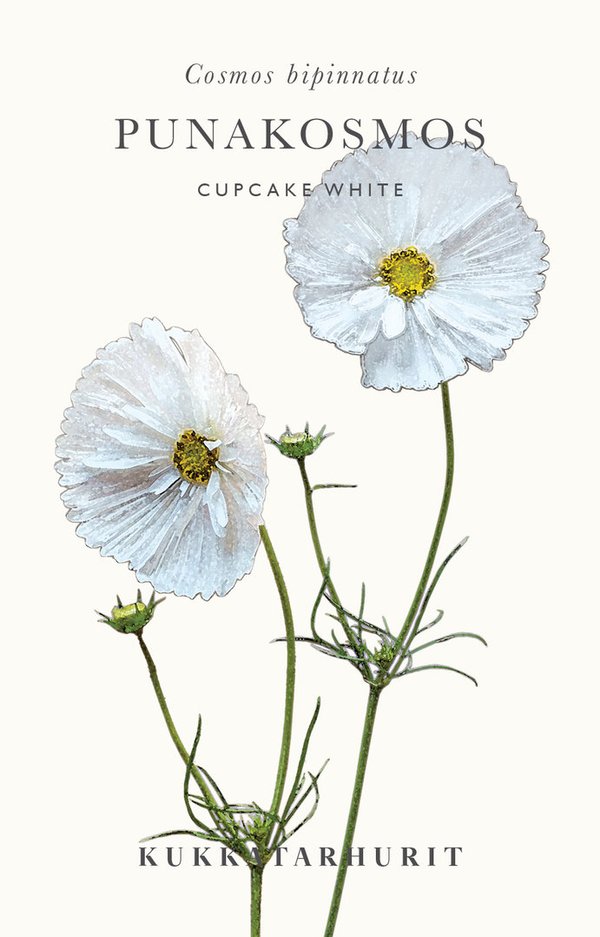 Punakosmos Cupcake White