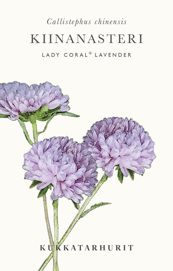 Kiinanasteri Lady Coral® Lavender