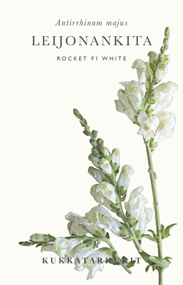 Leijonankita Rocket F1 White